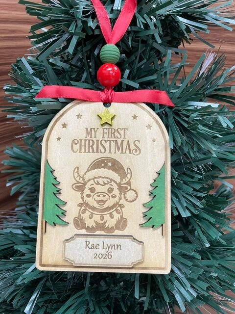 Baby's First Christmas Ornament